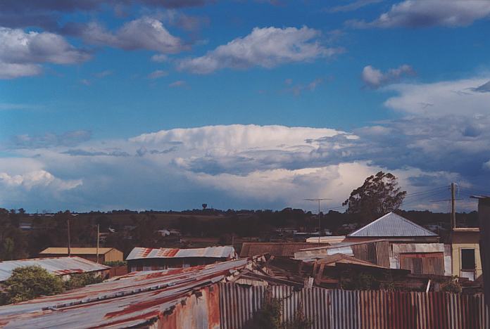 thunderstorm cumulonimbus_incus : Schofields, NSW   12 November 2001