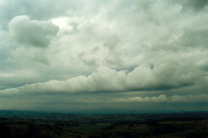 stratocumulus stratocumulus_cloud : McLeans Ridges, NSW   16 November 2001
