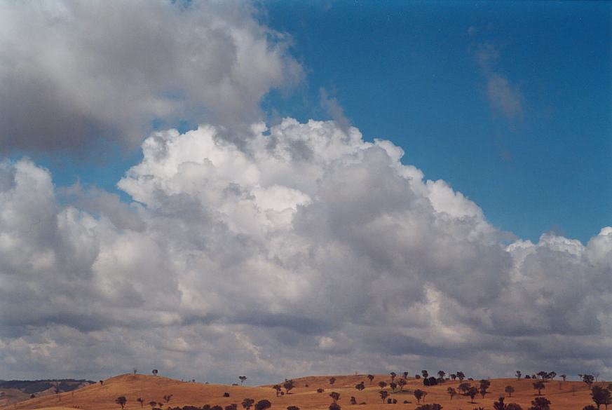 contributions received : near Ilford, NSW<BR>Photo by Geoff Thurtell   18 November 2001