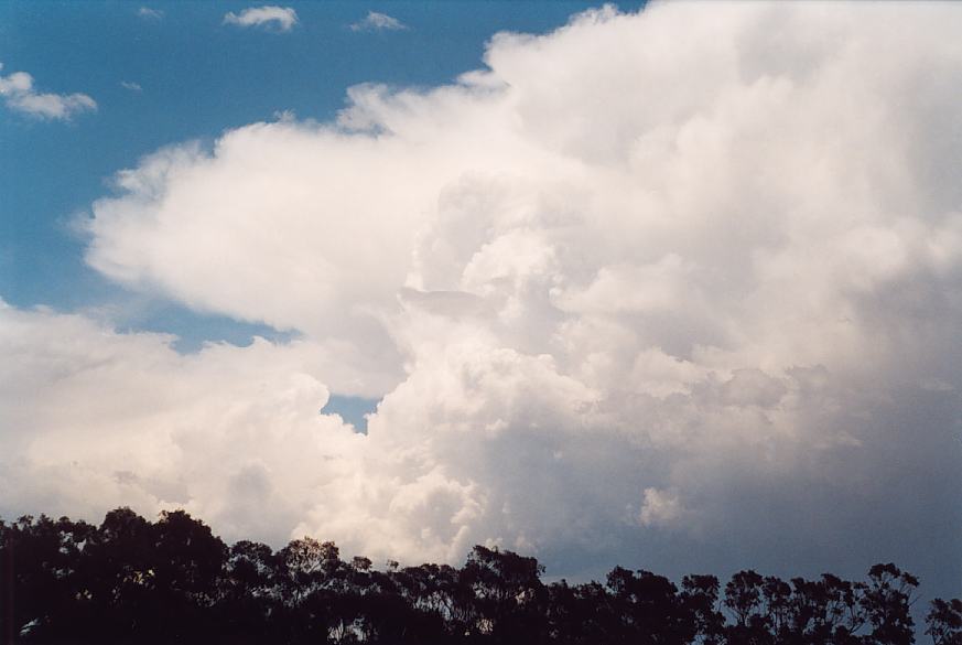 contributions received : near Borambil, NSW<BR>Photo by Geoff Thurtell   18 November 2001