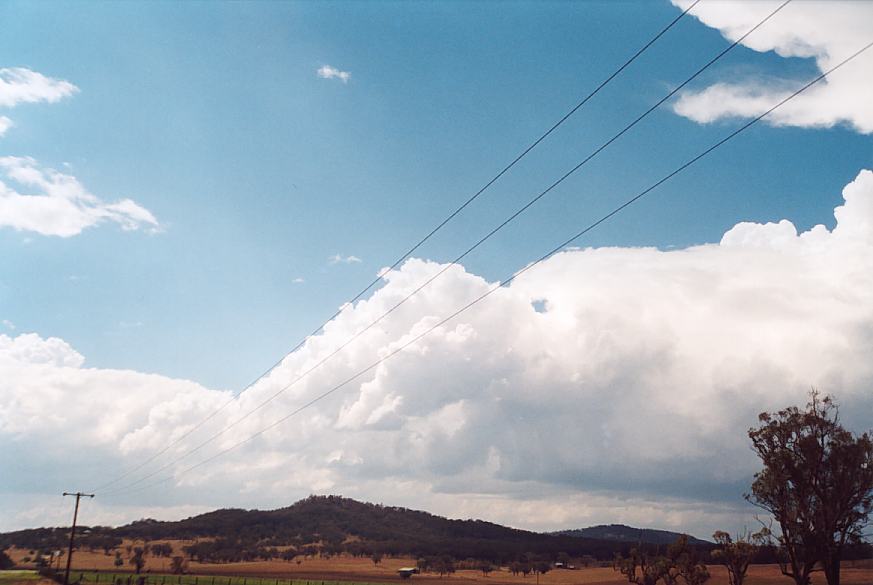 contributions received : near Scone, NSW<BR>Photo by Geoff Thurtell   18 November 2001