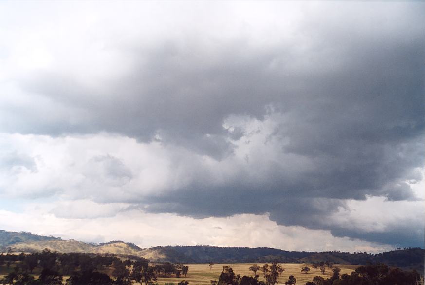 contributions received : near Wingen, NSW<BR>Photo by Geoff Thurtell   18 November 2001