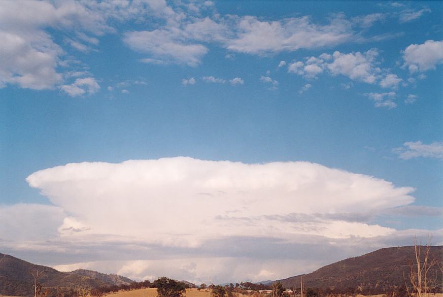 contributions received : near Muswellbrook, NSW<BR>Photo by Geoff Thurtell   18 November 2001