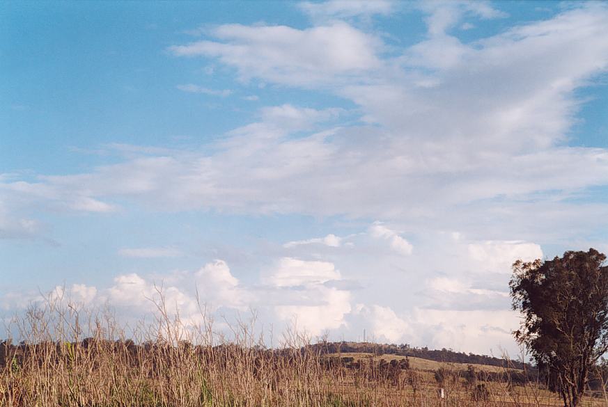 contributions received : near Muswellbrook, NSW<BR>Photo by Geoff Thurtell   18 November 2001