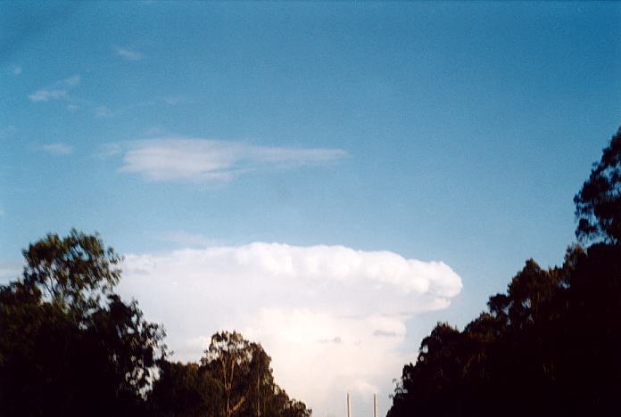 contributions received : E of Muswellbrook, NSW<BR>Photo by Geoff Thurtell   18 November 2001