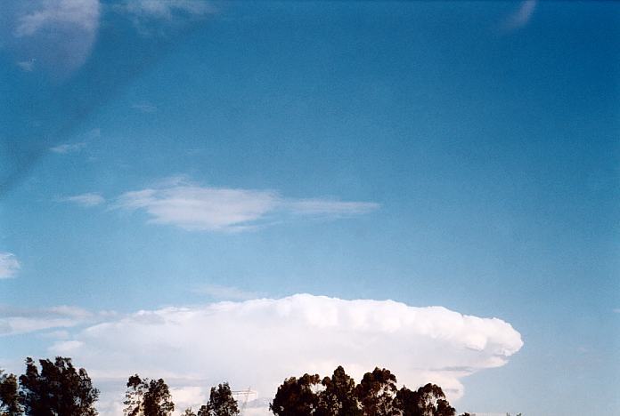 contributions received : E of Muswellbrook, NSW<BR>Photo by Geoff Thurtell   18 November 2001