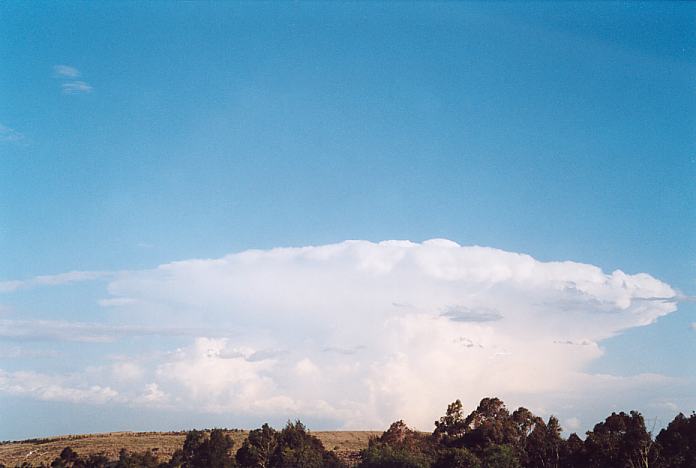 contributions received : between Muswellbrook and Singelton, NSW<BR>Photo by Geoff Thurtell   18 November 2001