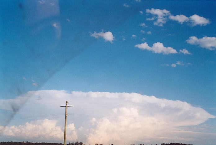 contributions received : near Singelton, NSW<BR>Photo by Geoff Thurtell   18 November 2001