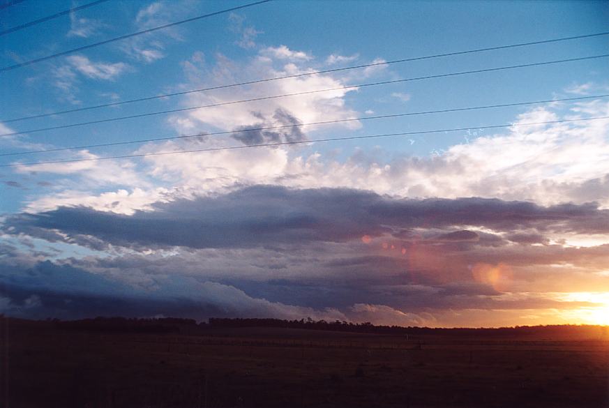 contributions received : Morpeth, NSW<BR>Photo by Geoff Thurtell   18 November 2001