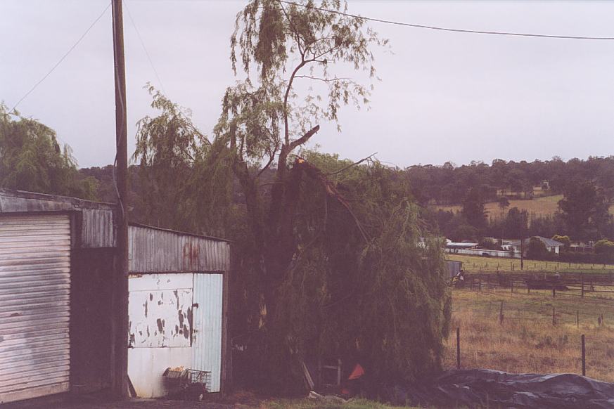 contributions received : Schofields, NSW<BR>Photo by Geoff Thurtell   19 November 2001