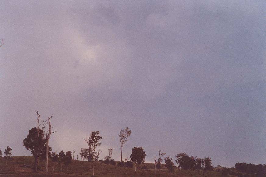contributions received : Bulahdelah, NSW<BR>Photo by Geoff Thurtell   24 November 2001