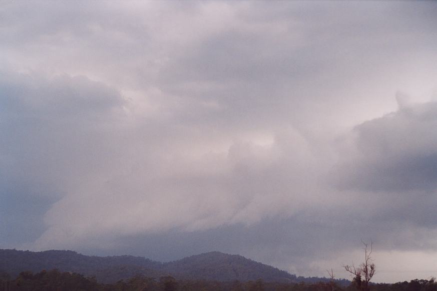 contributions received : N of Bulahdelah, NSW<BR>Photo by Geoff Thurtell   24 November 2001
