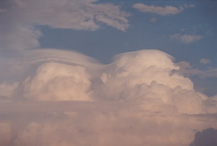 cumulonimbus supercell_thunderstorm : Hallidays Point, NSW   24 November 2001