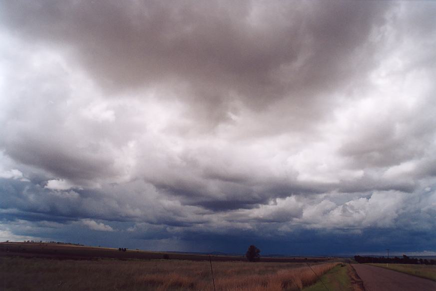contributions received : North Star, NSW<BR>Photo by Geoff Thurtell   27 November 2001