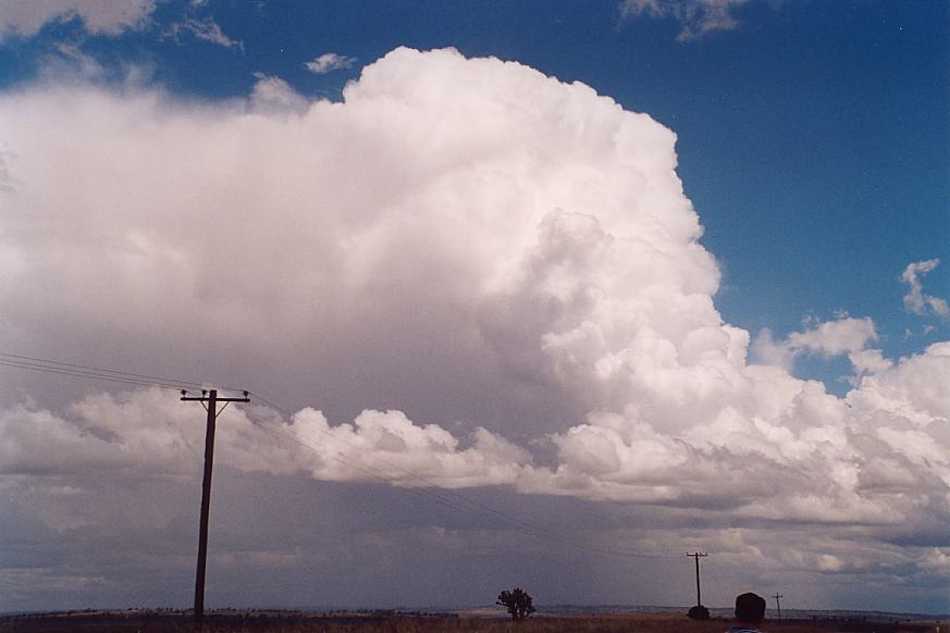 contributions received : North Star, NSW<BR>Photo by Geoff Thurtell   27 November 2001