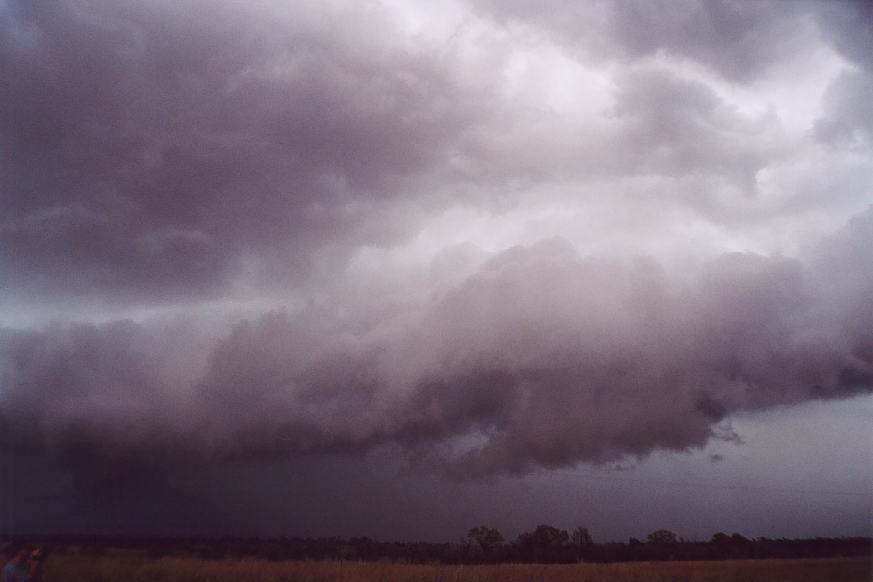 contributions received : SE of North Star, NSW<BR>Photo by Geoff Thurtell   27 November 2001