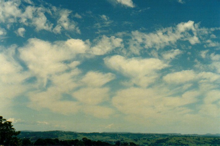 virga virga_pictures : McLeans Ridges, NSW   30 November 2001