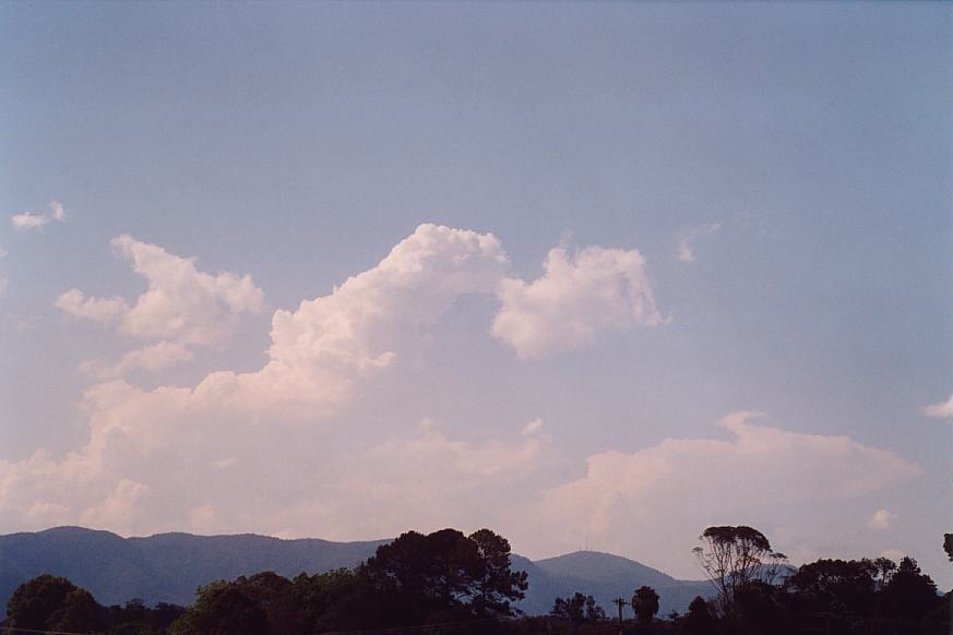 contributions received : Bellingen, NSW<BR>Photo by Geoff Thurtell   3 December 2001