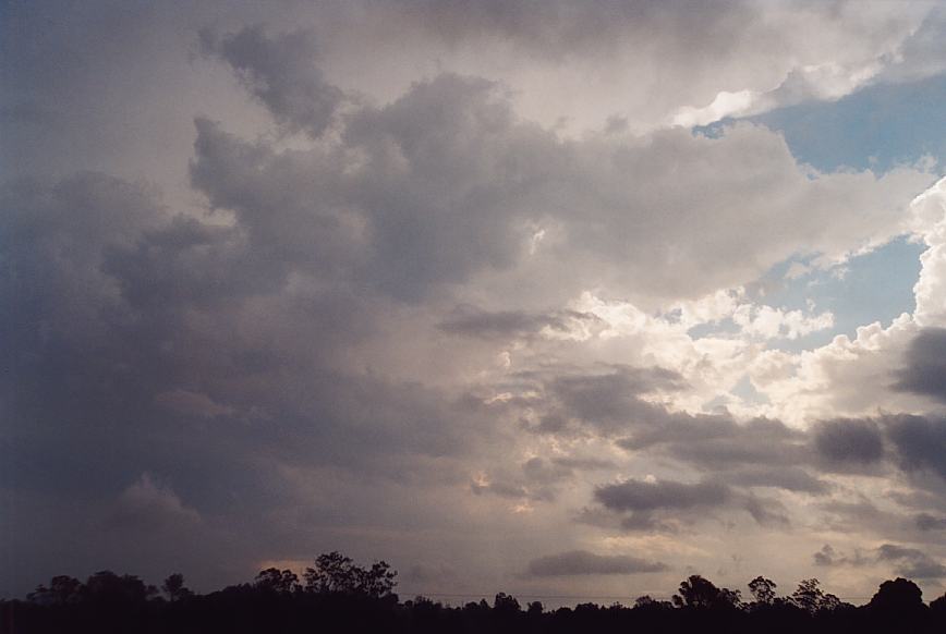 contributions received : near Warrell Creek, NSW<BR>Photo by Geoff Thurtell   4 December 2001