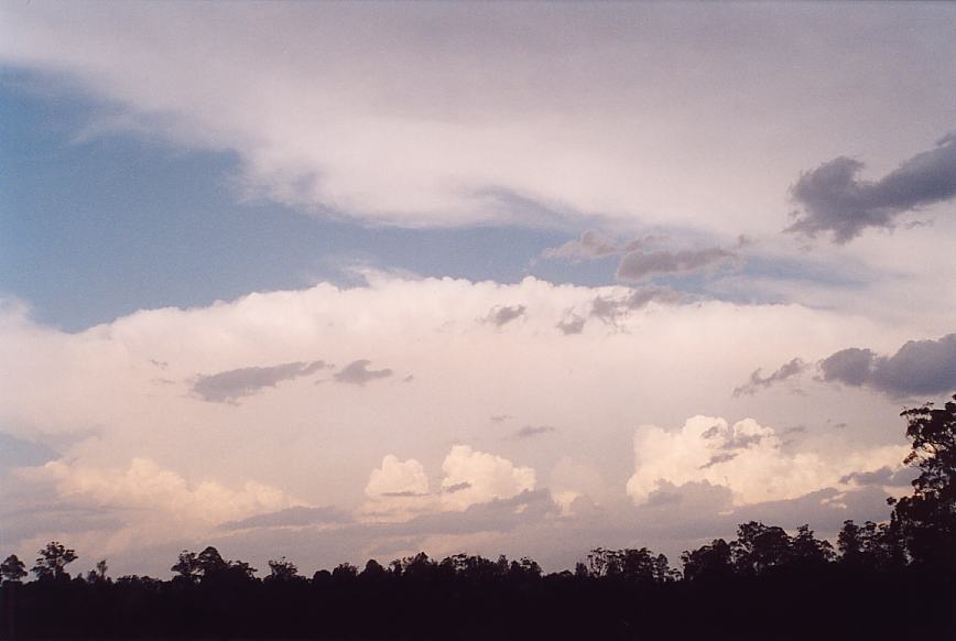 contributions received : near Warrell Creek, NSW<BR>Photo by Geoff Thurtell   4 December 2001