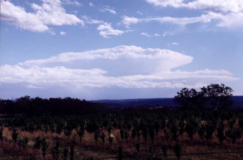 contributions received : Luddenham, NSW<BR>Photo by Jeff Brislane   18 December 2001