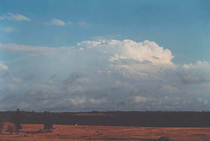 thunderstorm cumulonimbus_incus : Menangle, NSW   18 December 2001