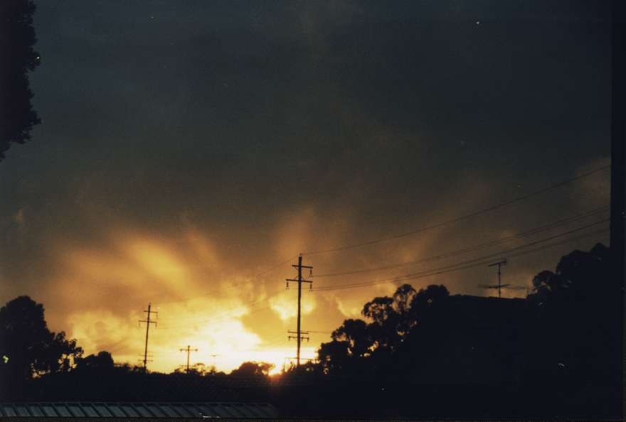contributions received : St Marys, NSW<BR>Photo by Paul Davids   1 January 2002