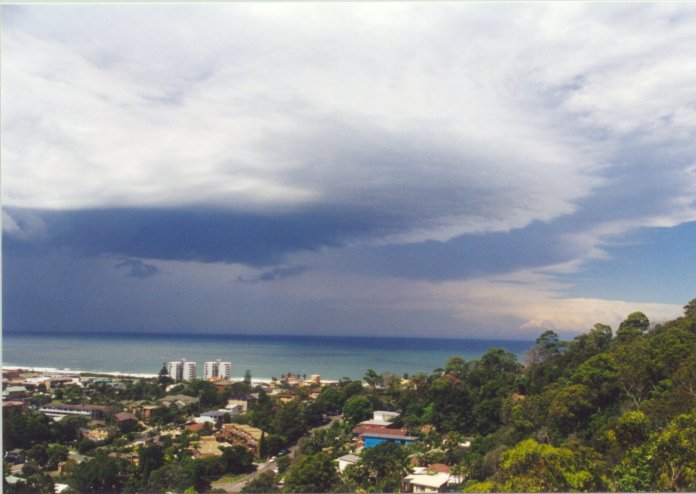 contributions received : Collaroy Plateau , NSW<BR>Photo by Judy Mayo   8 February 2002