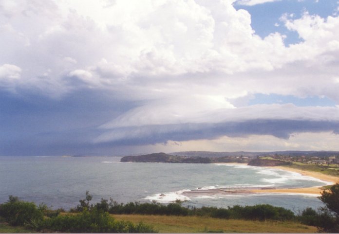 contributions received : Mona Vale Headland, NSW<BR>Photo by Judy Mayo   8 February 2002