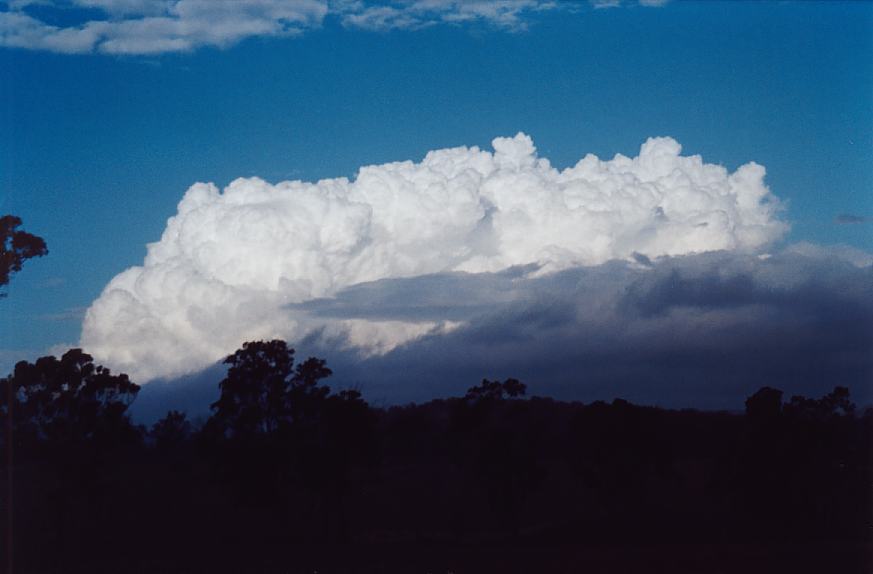 contributions received : W of Ebor, NSW<BR>Photo by John Sweatman   28 November 2002
