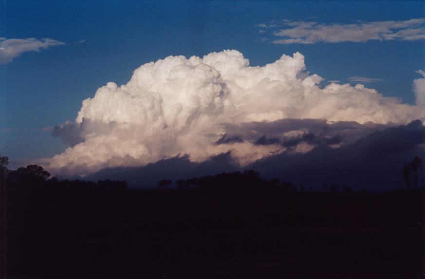 contributions received : W of Ebor, NSW<BR>Photo by John Sweatman   28 November 2002
