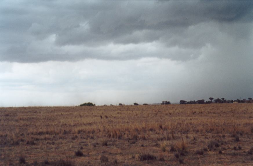 contributions received : W of Tamworth, NSW<BR>Photo by John Sweatman   29 November 2002