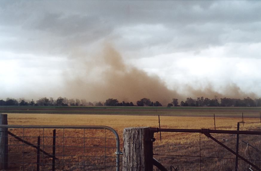 contributions received : W of Tamworth, NSW<BR>Photo by John Sweatman   29 November 2002