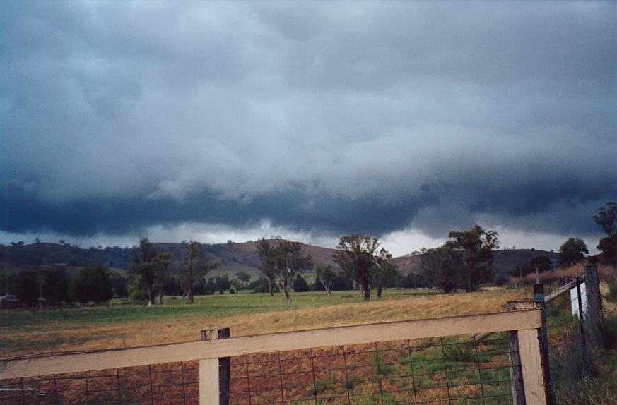 contributions received : E of Tamworth, NSW<BR>Photo by John Sweatman   29 November 2002