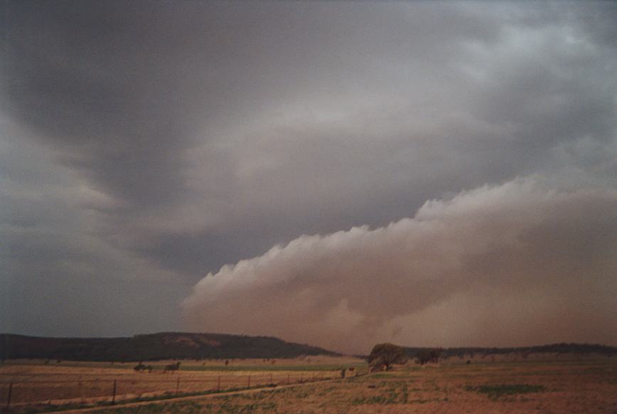 cumulonimbus supercell_thunderstorm : N of Boggabri, NSW   23 December 2002