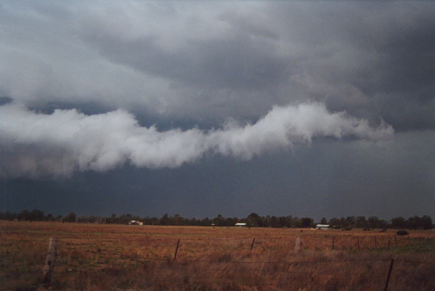 cumulonimbus supercell_thunderstorm : Narrabri, NSW   23 December 2002