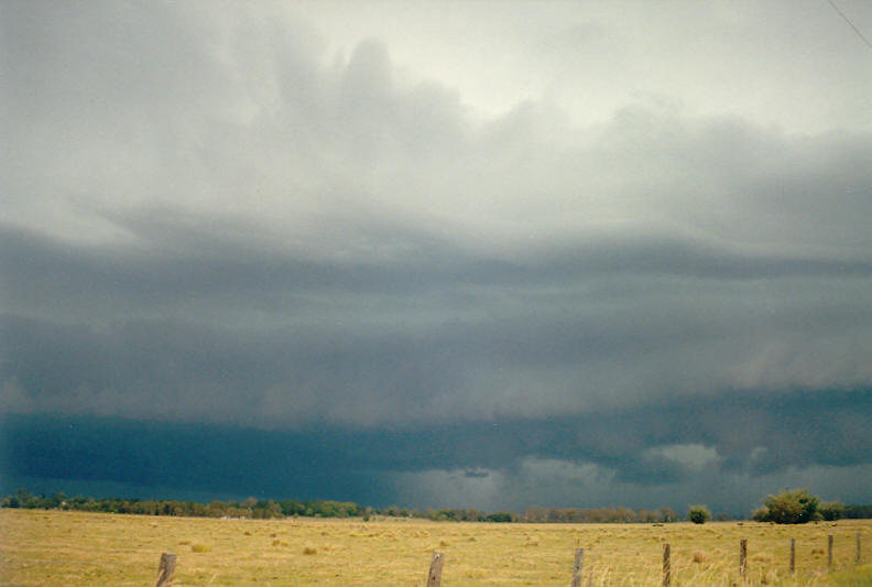 cumulonimbus thunderstorm_base : Coraki, NSW   24 December 2002