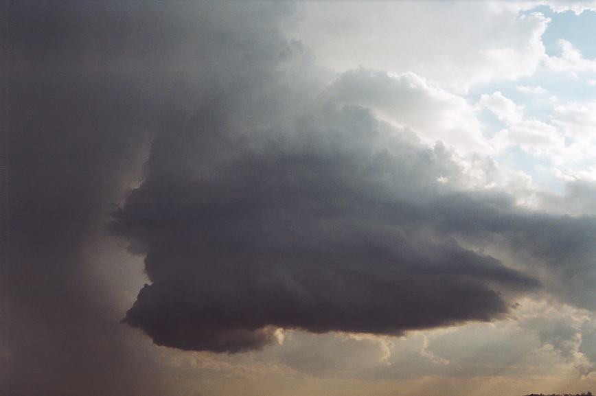 updraft thunderstorm_updrafts : Camden, NSW   12 February 2003