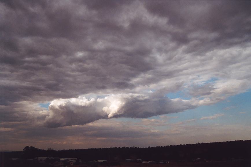 cumulus mediocris : Schofields, NSW   13 February 2003
