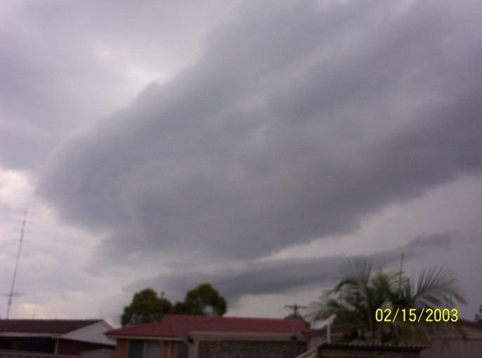 contributions received : Wollongong area, NSW<BR>Photo by Lisa Pasfield   15 February 2003