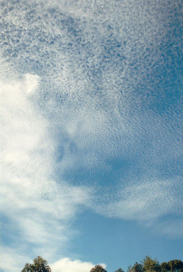 cirrocumulus cirrocumulus_cloud : McLeans Ridges, NSW   1 March 2003