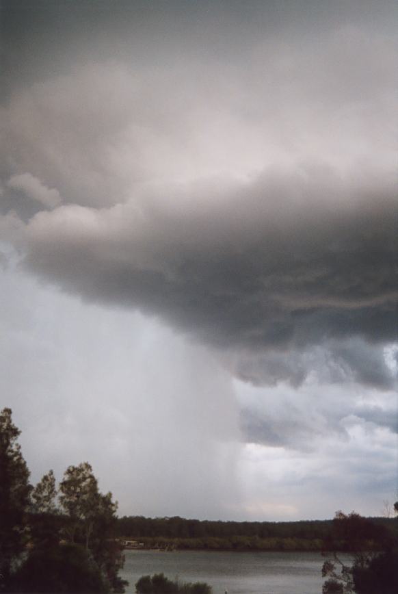 cumulonimbus thunderstorm_base : Karuah, NSW   20 March 2003