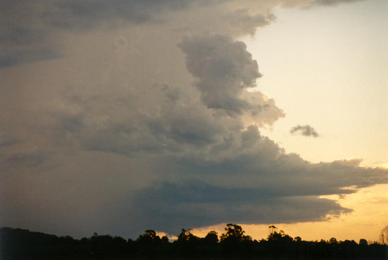 cumulonimbus thunderstorm_base : Coraki, NSW   22 March 2003