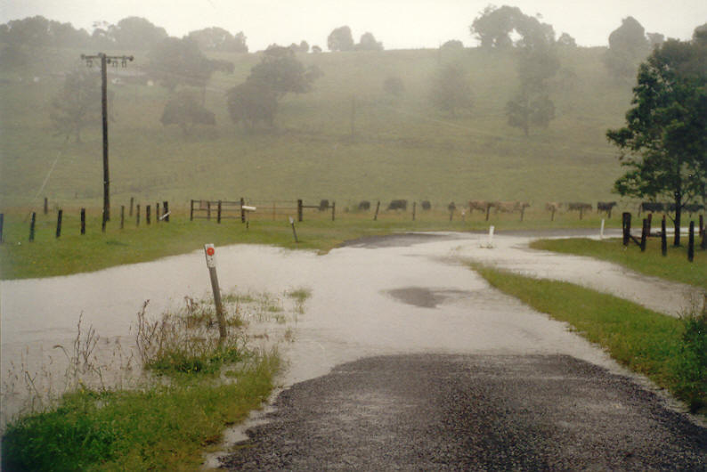 flashflooding flood_pictures : McLeans Ridges, NSW   28 April 2003