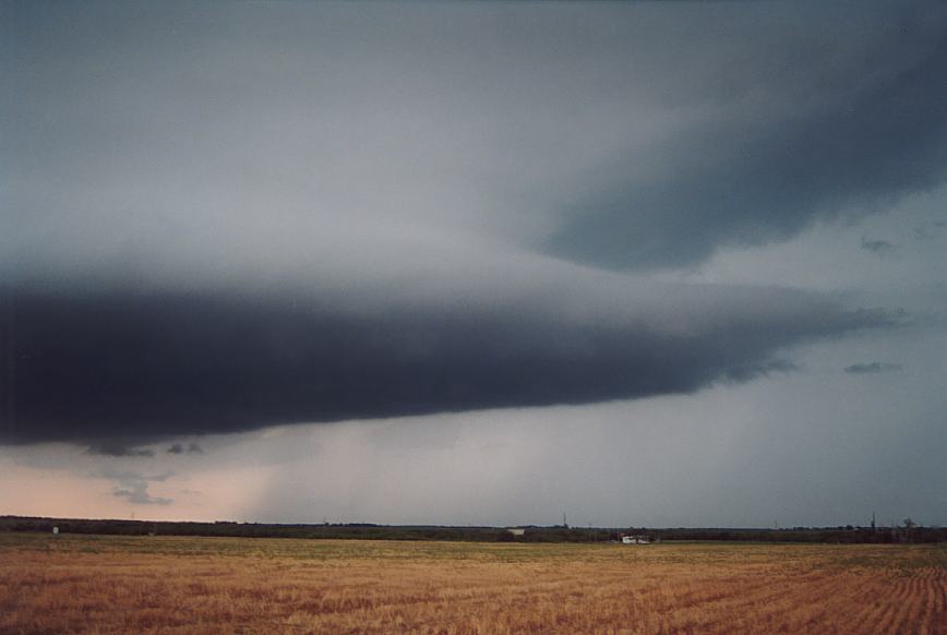 cumulonimbus supercell_thunderstorm : near Olney, Texas, USA   12 June 2003
