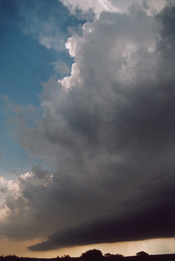 cumulonimbus thunderstorm_base : E of Newcastle, Texas, USA   12 June 2003