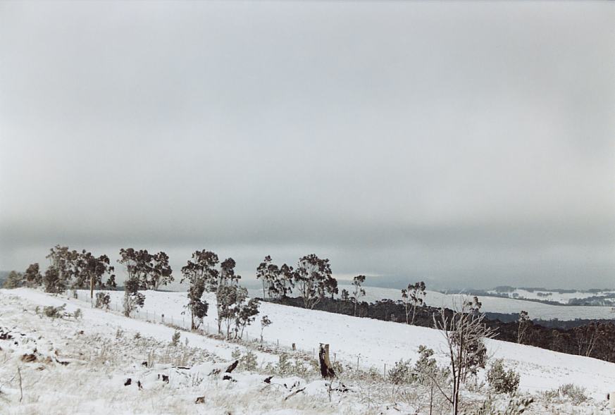 snow snow_pictures : Shooters Hill, NSW   26 July 2003