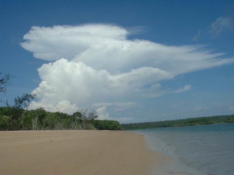 contributions received : Bathurst Island, NT<BR>Photo by Rissa Williams   27 September 2003