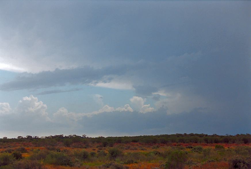 thunderstorm cumulonimbus_incus : Wilcannia, NSW   1 October 2003
