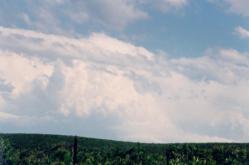 cumulus humilis : Woodburn, NSW   10 October 2003